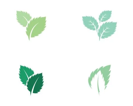 Mint leaves flat vector icon Stock Illustration