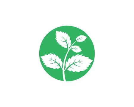 Mint leaves flat vector icon Stock Illustration
