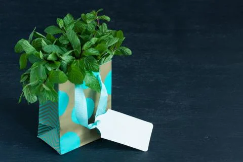 Mint leaves in gift bag Stock Photos
