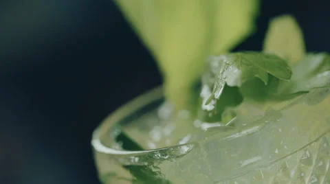 Mint leaves in the glass Stock Footage 52193886