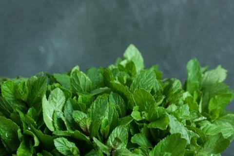 Mint leaves on gray background Stock Photos