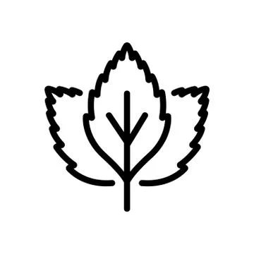 Mint leaves icon vector outline illustration Stock Illustration