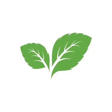 Mint leaves icons. Leaf vector illustration Stock Illustration