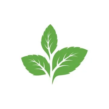 Mint leaves icons. Leaf vector illustration Stock Illustration