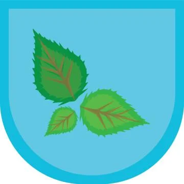Mint Leaves Stock Illustration