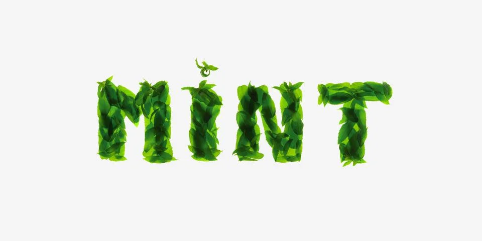 Mint leaves isolated on white background. The inscription calligraphic font Stock Photos