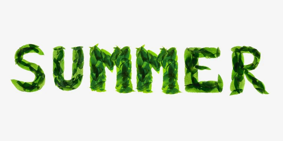 Mint leaves isolated on white background. The inscription calligraphic font Stock Photos