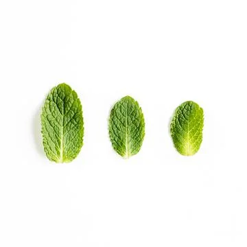 Mint leaves isolated on white background. Set of peppermint. Mint Pattern. Flat Foto stock
