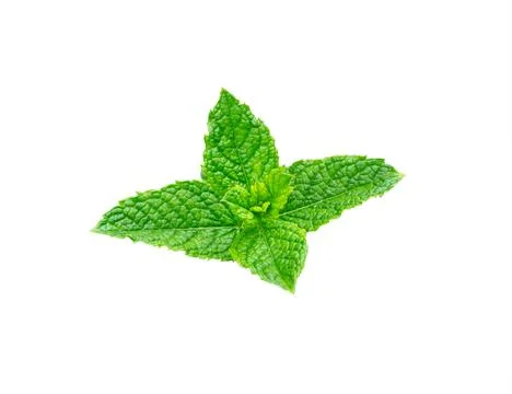Mint leaves isolated on white, Close-Up. Stock Photos