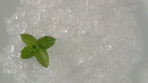 Mint leaves on Kéfir grains Video stock 129097384