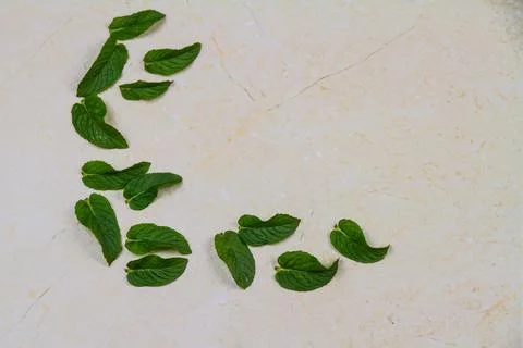 Mint leaves in L shape on marble background. Foto stock