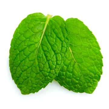 Mint leaves Stock Photos
