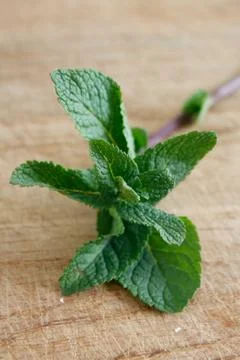 Mint leaves Stock Photos