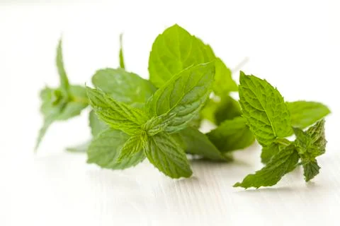 Mint leaves Stock Photos