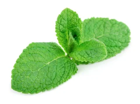 Mint leaves Foto stock
