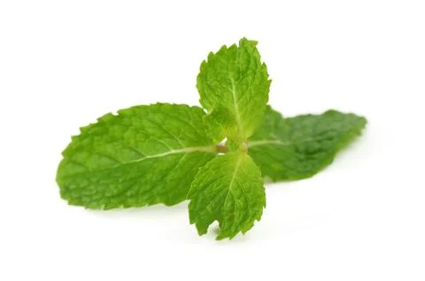 Mint leaves Stock Photos