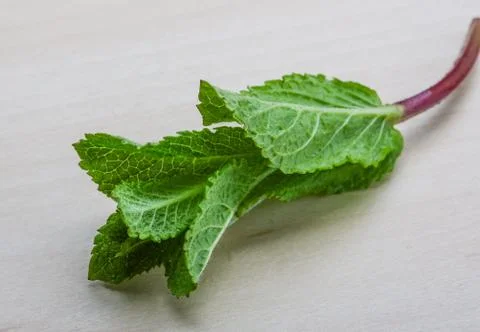 Mint leaves Stock Photos