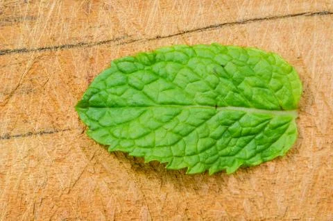 Mint leaves Stock Photos