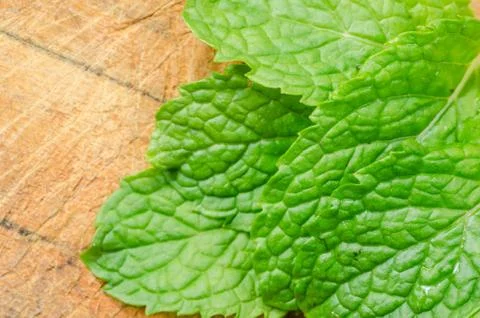 Mint leaves Foto stock