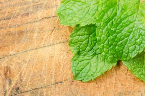 Mint leaves Stock Photos