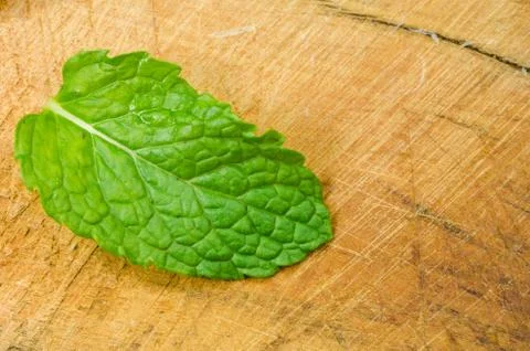 Mint leaves Stock Photos