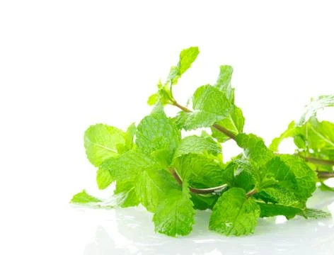 Mint leaves Stock Photos