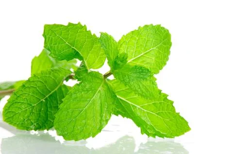 Mint leaves Stock Photos