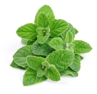 Mint leaves Stock Photos