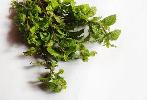 Mint leaves Stock Photos
