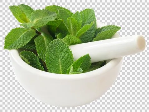 Mint leaves Stock Photos
