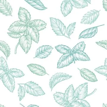 Mint leaves seamless pattern. Hand drawn sketch vector plant illustration. Na Stock Illustration