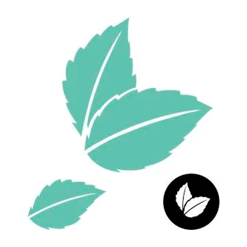 Mint leaves vector logo. Green leaf. Blue mint leave icon on white. Mint leaves Stock Illustration