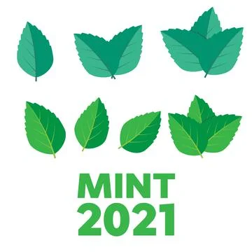 Mint leaves vector logo. Mint leaf vector illustration Stock Illustration