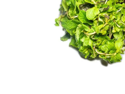 Mint leaves on a white background. A bunch of useful grass. plant isolate. Fr Stock Photos