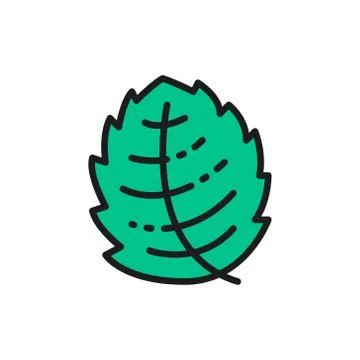 Mint, lettuce, basil, herb flat color line icon. Isolated on white background Stock Illustration