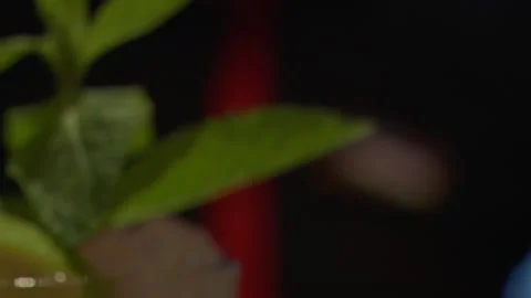 Mint Mojito Stock Footage 136035784