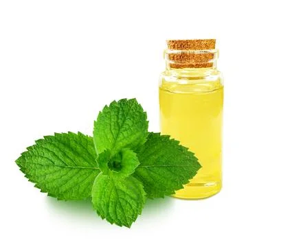 Mint oil Stock Photos