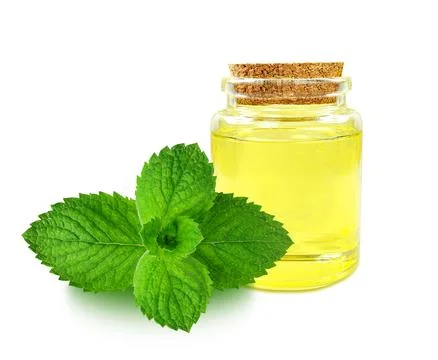 Mint oil Stock Photos