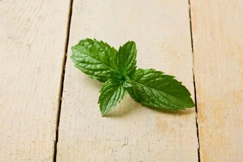Mint Stock Photos