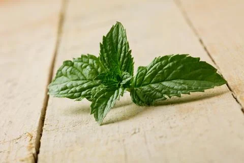 Mint Stock Photos