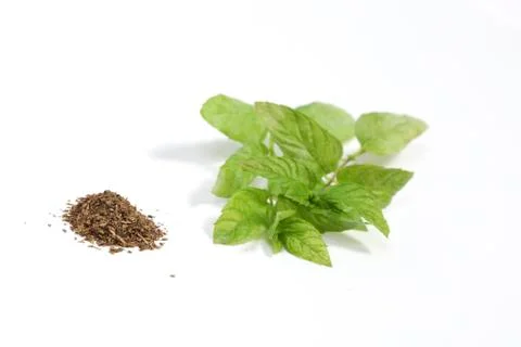 Mint Stock Photos