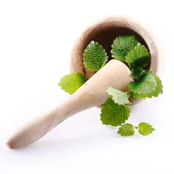 Mint Stock Photos