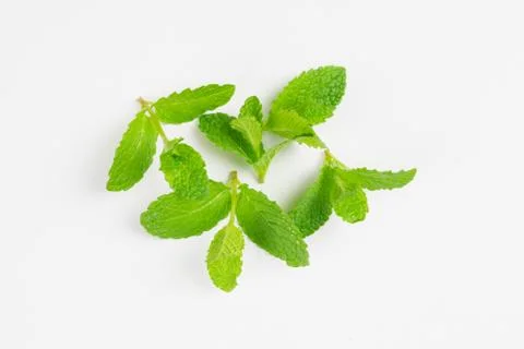 Mint Stock Photos