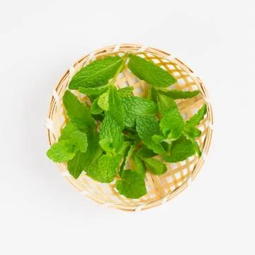 Mint Stock Photos