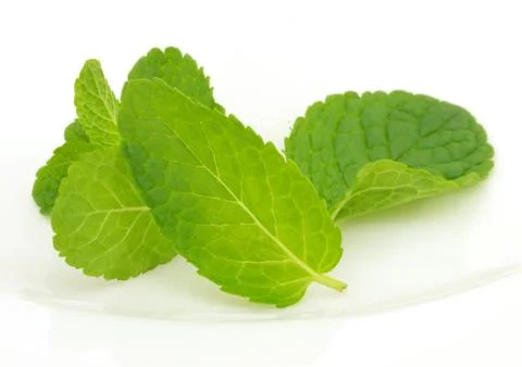 Mint Foto stock