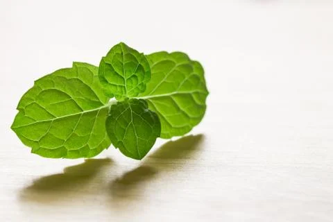 Mint Stock Photos