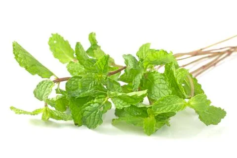 Mint Stock Photos