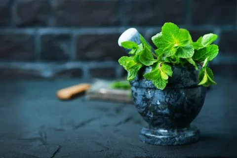 Mint Stock Photos