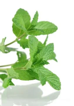 Mint Stock Photos