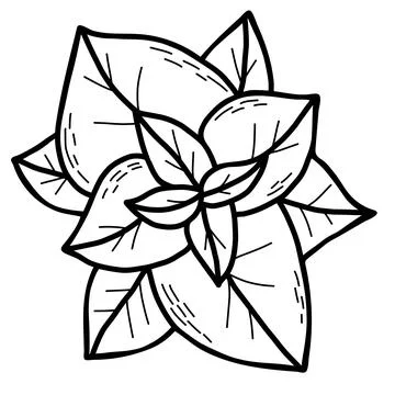 Mint. Plant Stock Illustration